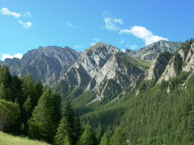 p1000214.jpg